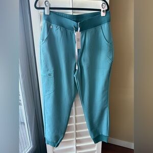 Figs hydrogreen Zamora joggers high waisted large petite